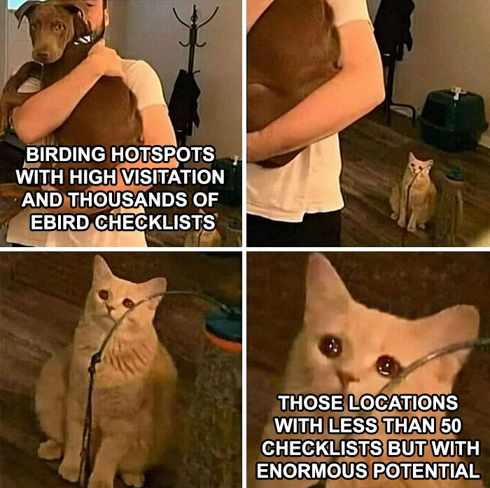 Funny-Birding-Memes