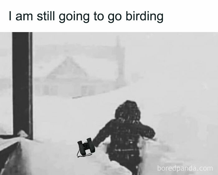 Funny-Birding-Memes