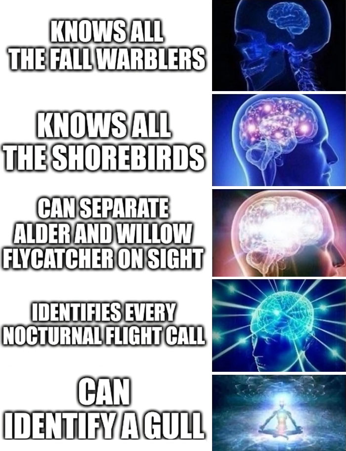Funny-Birding-Memes
