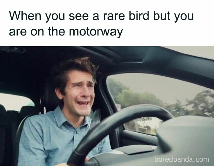 Funny-Birding-Memes