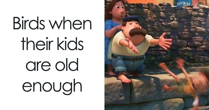 30 Of The Best “Birding Memes” Shared On This Dedicated Facebook Page