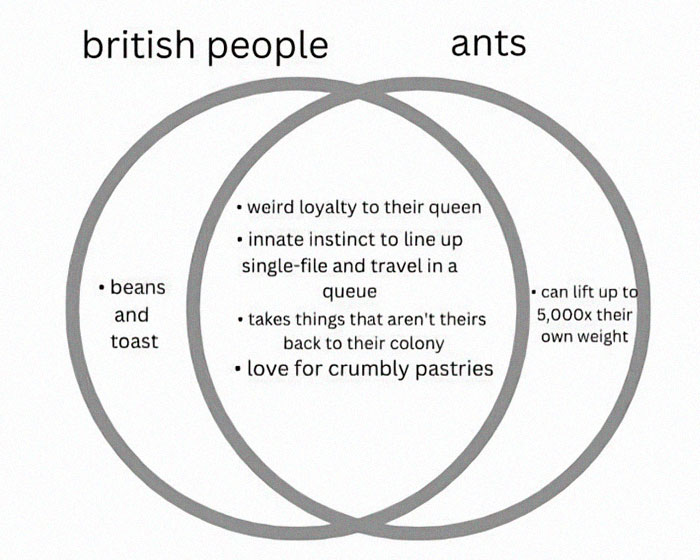 The Americans Are Beginning To Figure Us Out. They’re Yet To Discover Eddie Hall Though