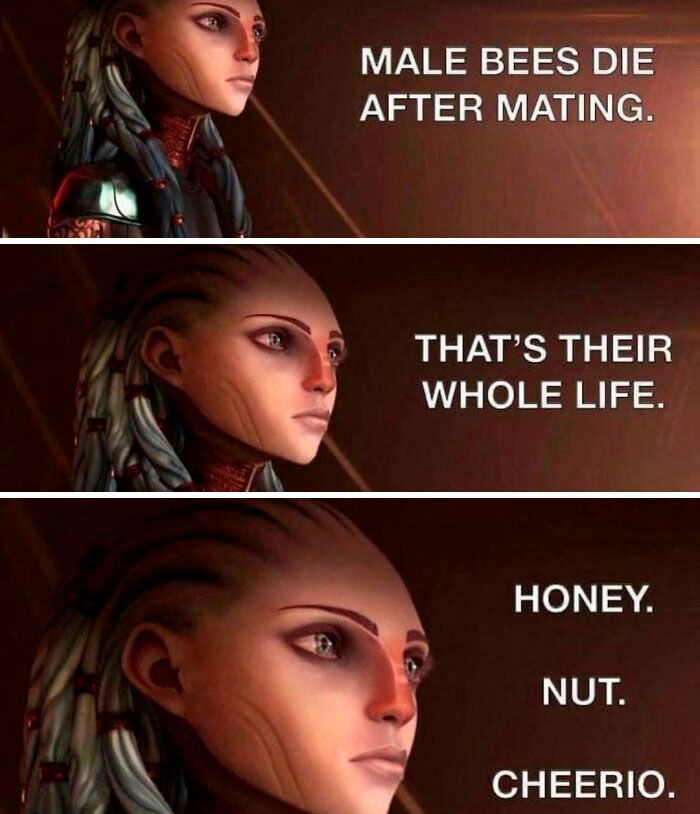 It All Makes Sense Now