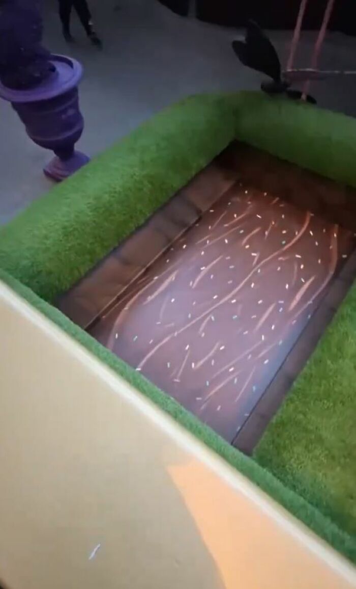 “The Cursed Wonka Tour”: The Best Reactions To The Failed "Chocolate Factory" Experience In Glasgow “The Cursed Wonka Tour”: The Best Reactions To The Failed "Chocolate Factory" Experience In Glasgow