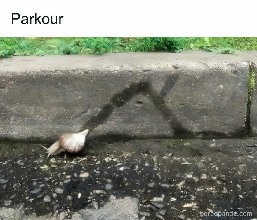 😂😂 It Took Me Few Minutes To Understand What That Was