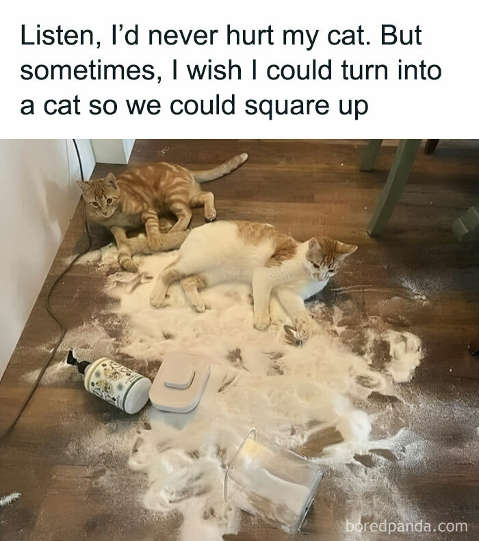 First Thing You Would Do Is Realize How Much Fun It Is To Terrorize The Humans By Doing This Kind Of Stuff