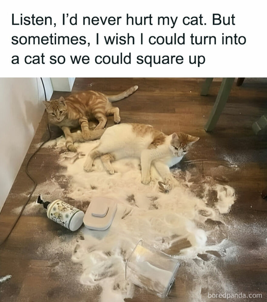 First Thing You Would Do Is Realize How Much Fun It Is To Terrorize The Humans By Doing This Kind Of Stuff