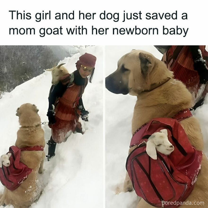 The Baby Feels So Safe And Comfortable