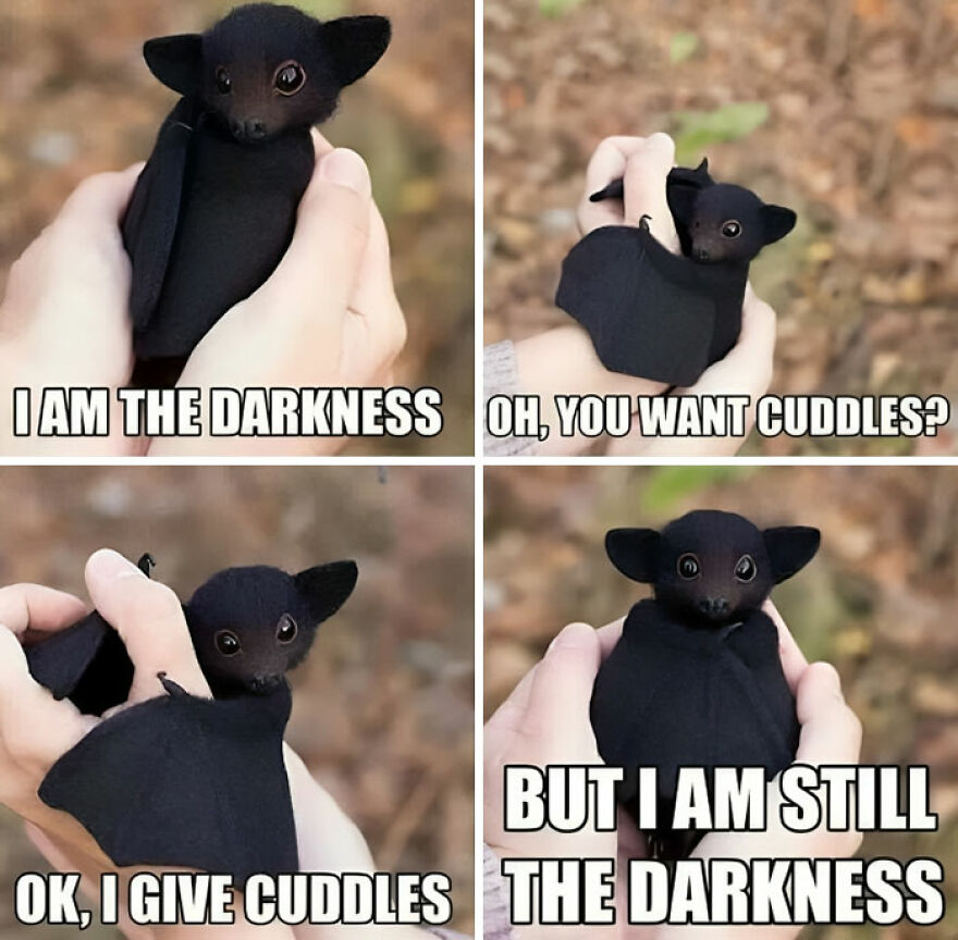 Not A Real Bat, But Cute