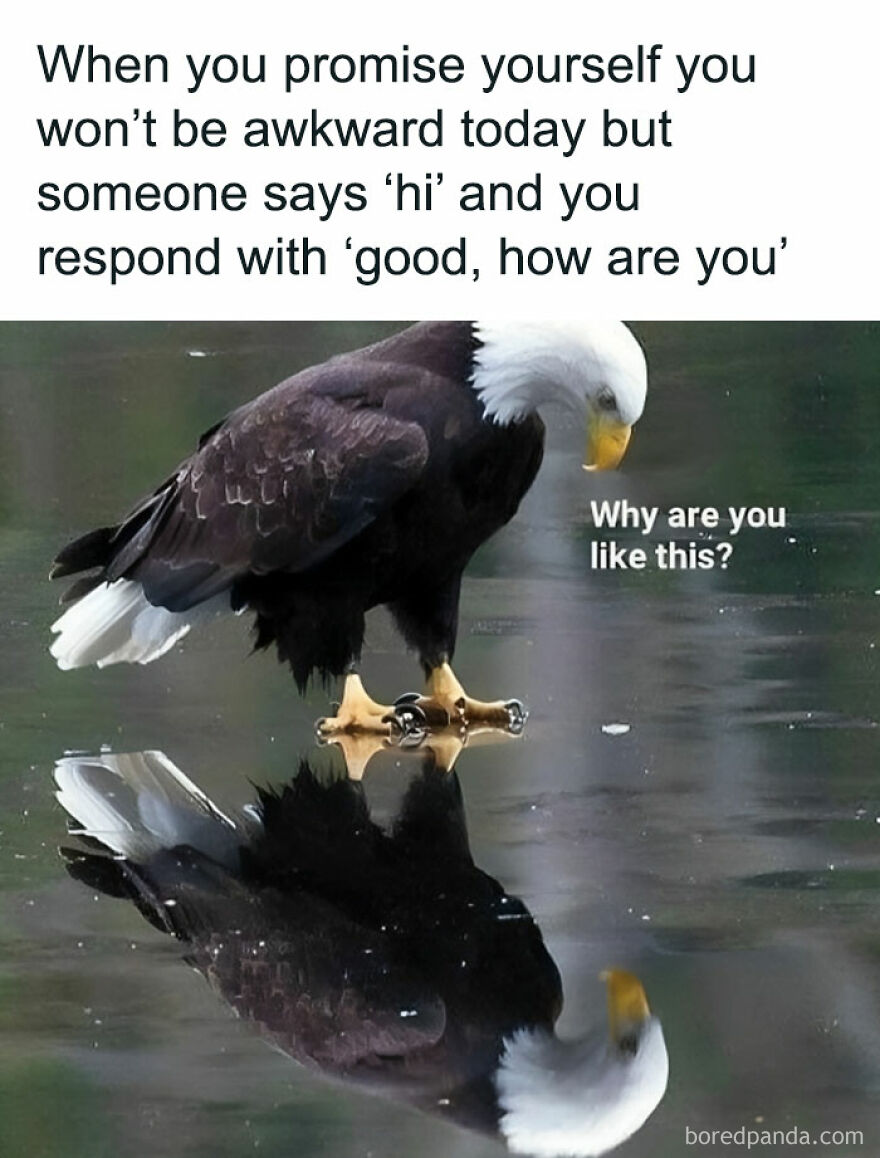 When I Was A Kid... Somebody Would Say Hi And I Would Reply With "Fine" 😂