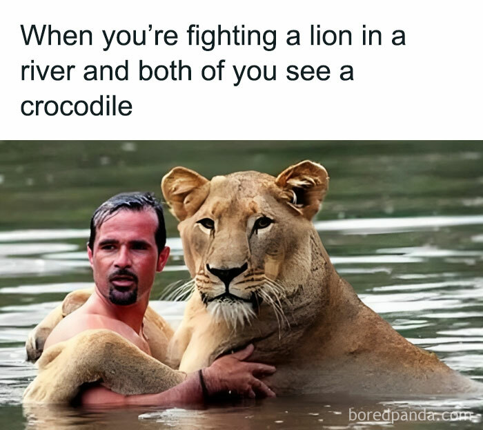 Ah S**t, Bro Let's Put Our Differences Aside For The Greater Good Of Our Survival 😂