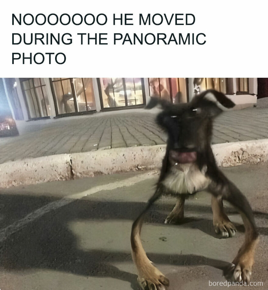 It Looks Like A Child’s Drawing Come To Life 😂