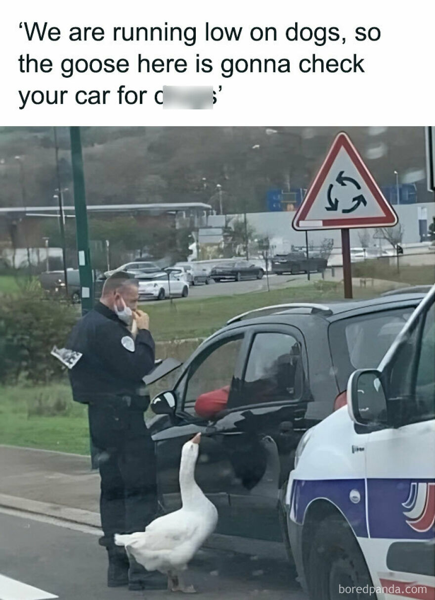 «ask Driver: What His Down Jacket Is Made Of!” 😆