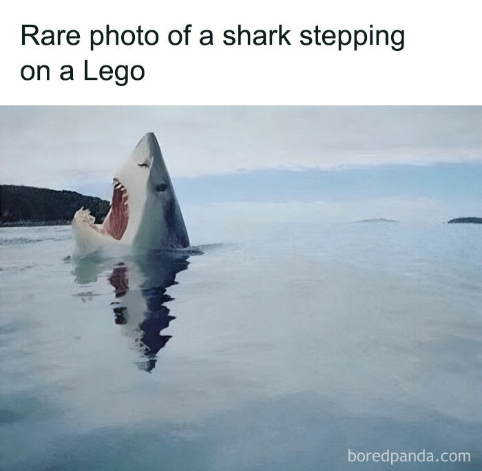 This Is My Most Favorite Meme Of All Time