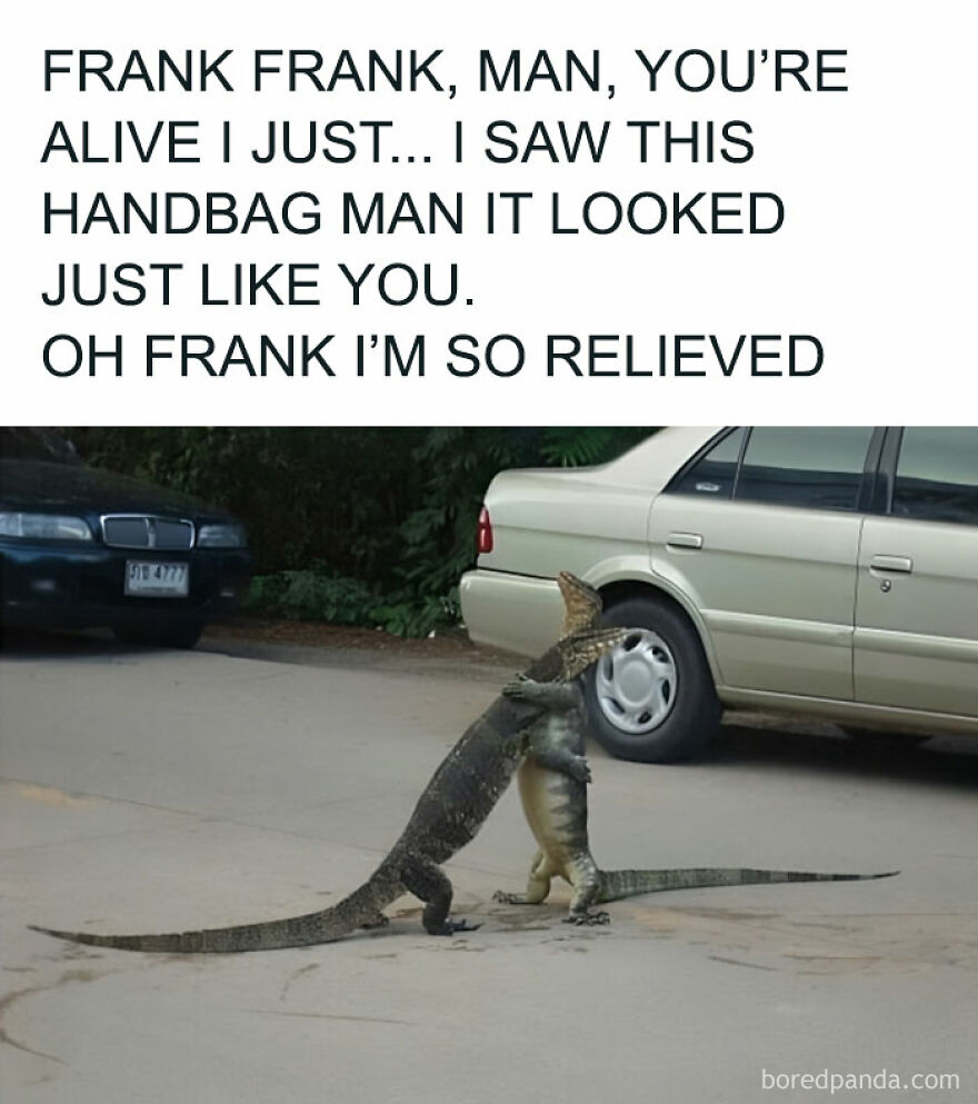 You Can Tell Which One Is Frank😭