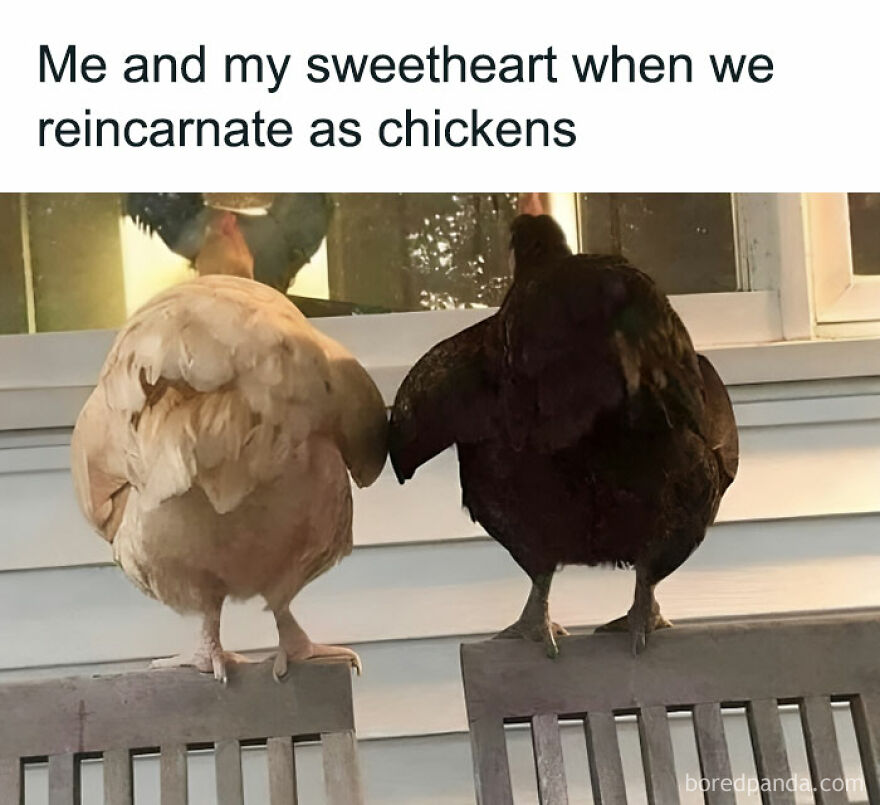 I’ll Get Made Into Nuggets Cause My Life Will Probably Suck As Much As This One Does