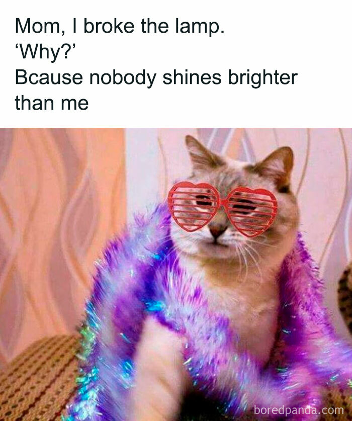 Funny-Memes-Jokes-Queenbetchmemes