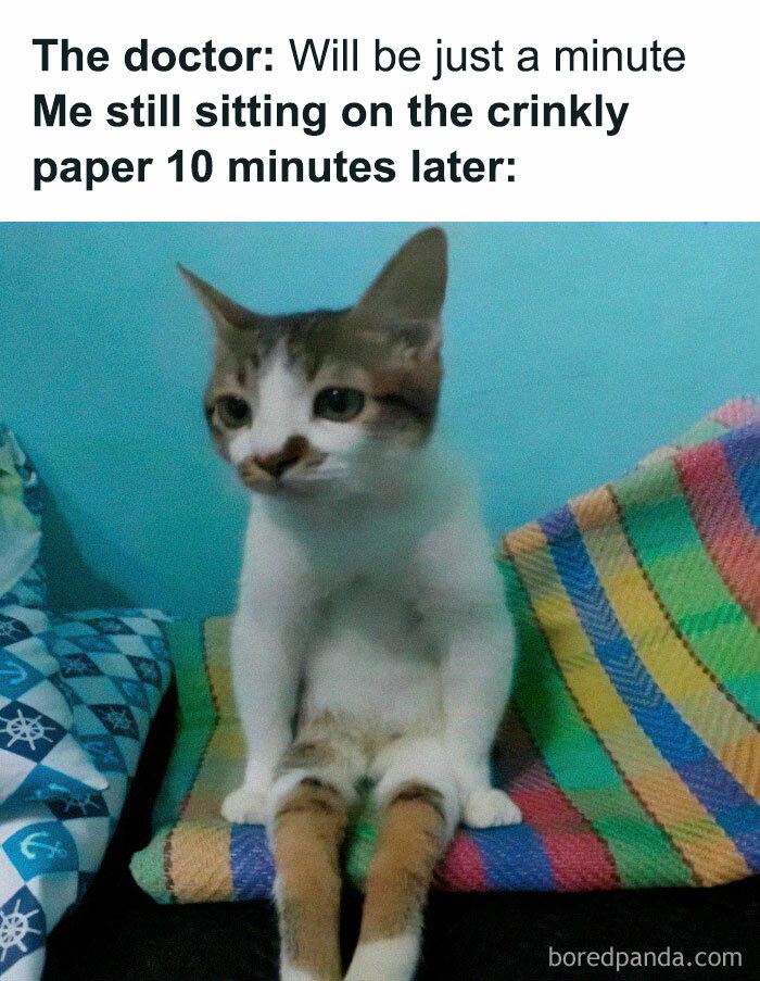 Funny-Memes-Jokes-Queenbetchmemes