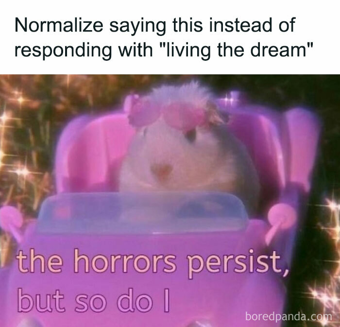 Funny-Memes-Jokes-Queenbetchmemes