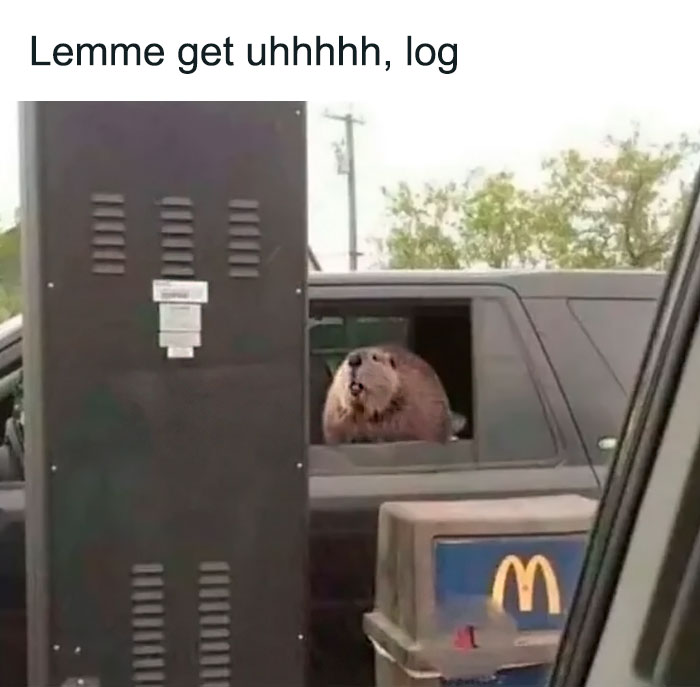 Funny-Nice-Relatable-Memes