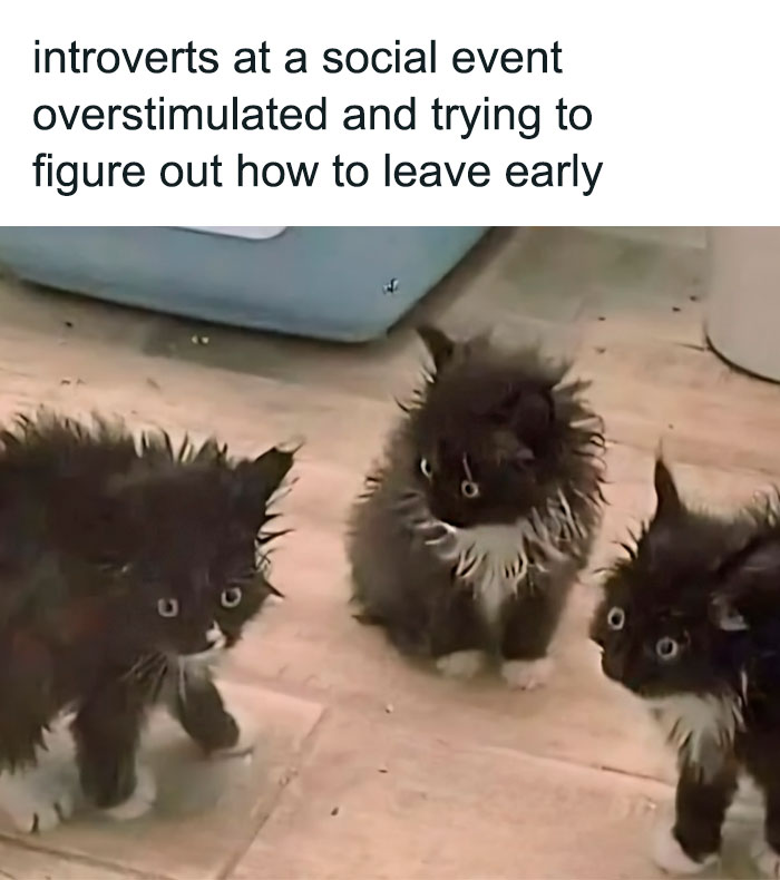 Funny-Nice-Relatable-Memes