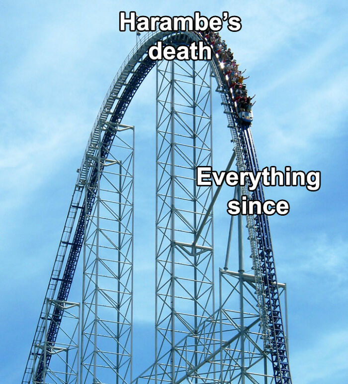 Funny-Nice-Relatable-Memes