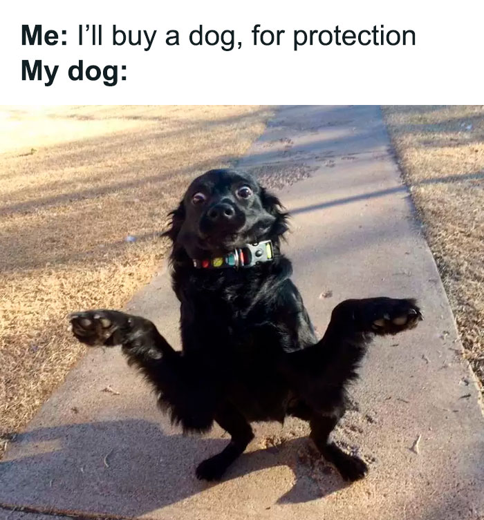 Funny-Nice-Relatable-Memes