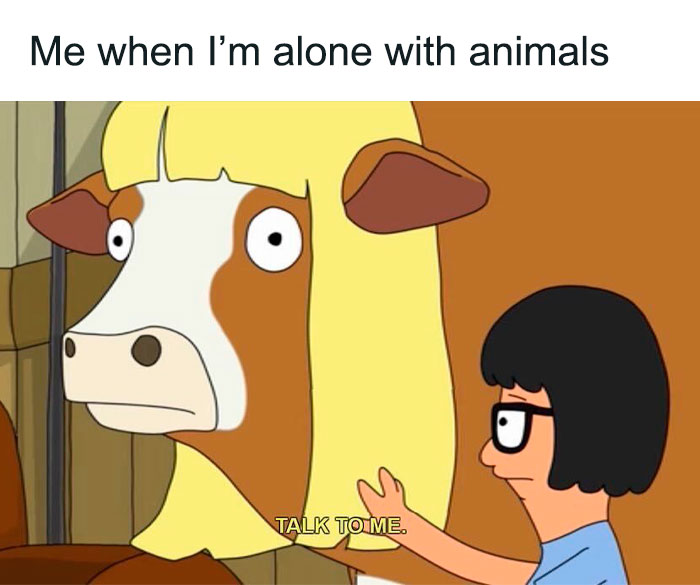 Funny-Nice-Relatable-Memes