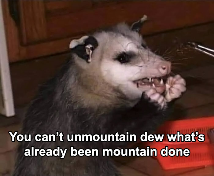 Funny-Nice-Relatable-Memes