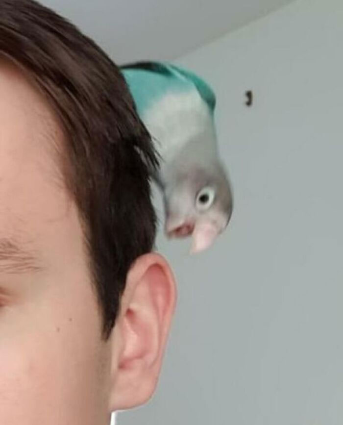 Segundos antes del desastre