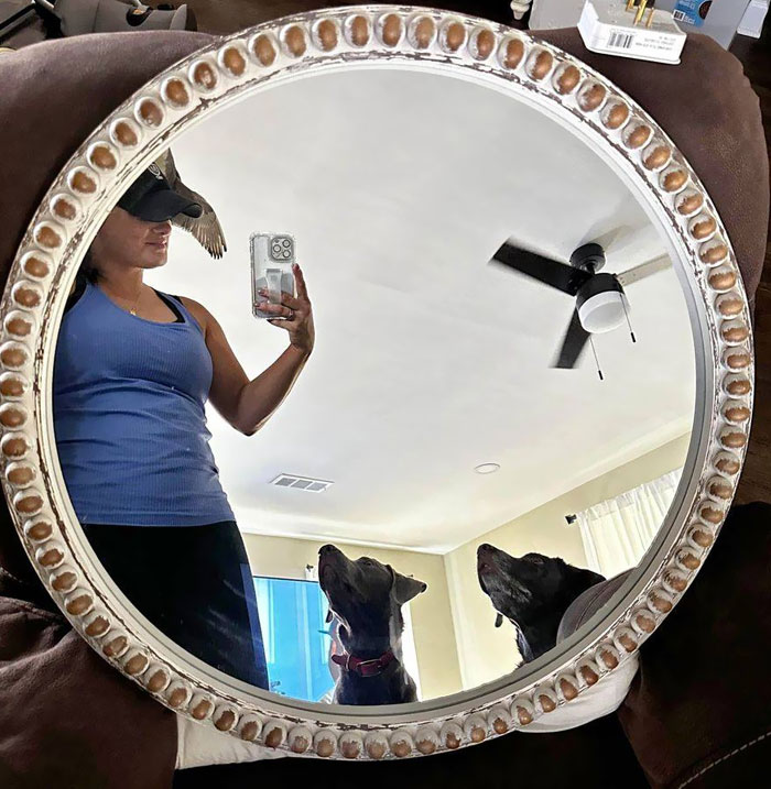 The Dogs Are What Sells This For Me