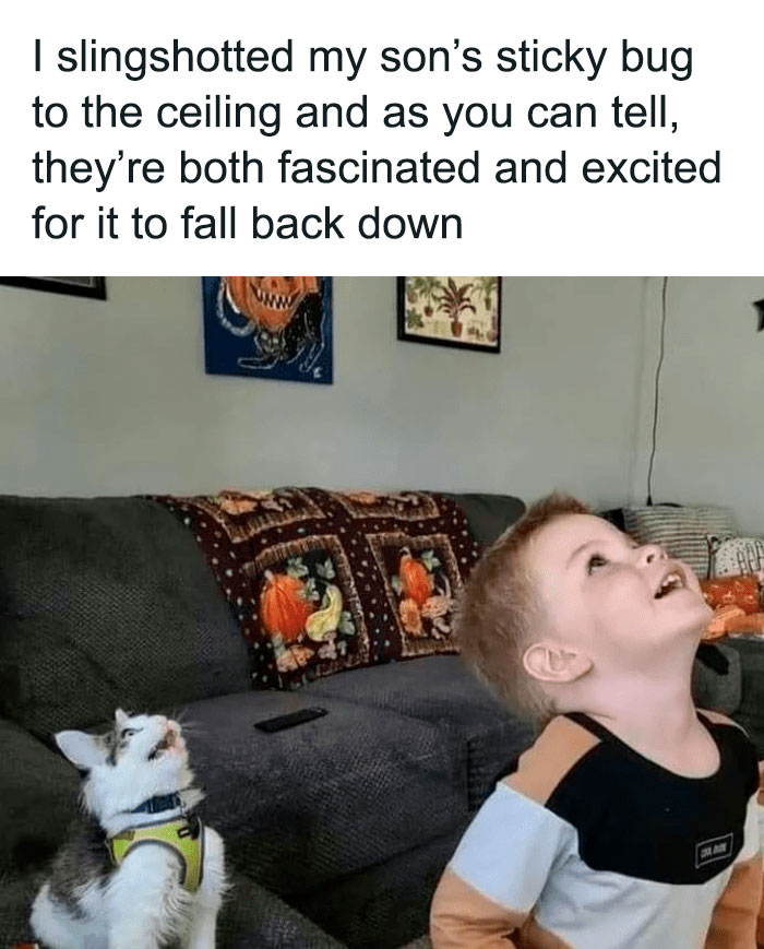 Funny-Random-Memes-Ship-Instagram