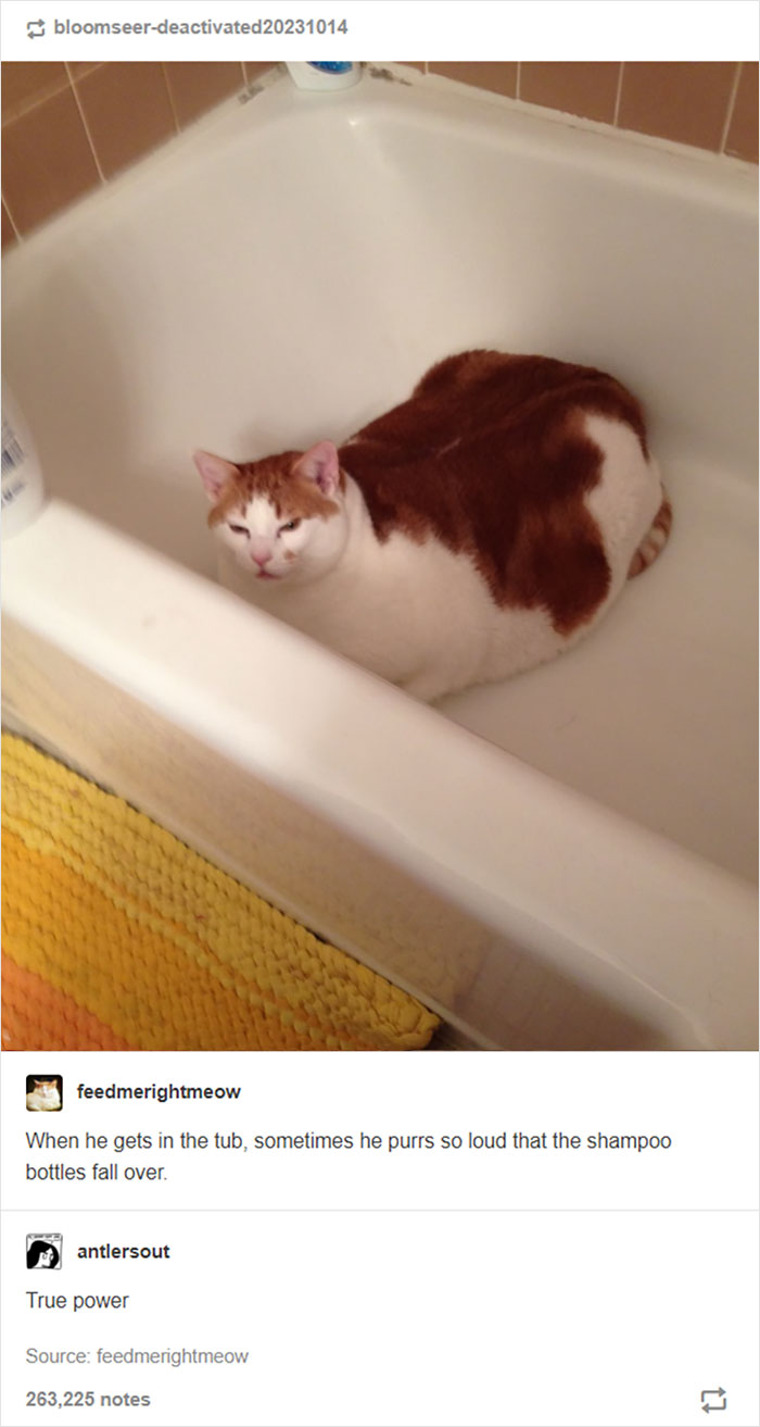 Funny-Random-Memes-Ship-Instagram