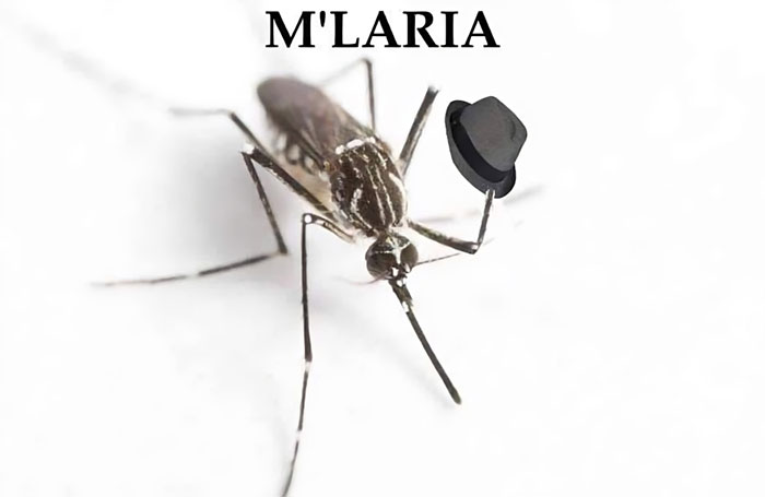 Funny-Relatable-Animal-Memes