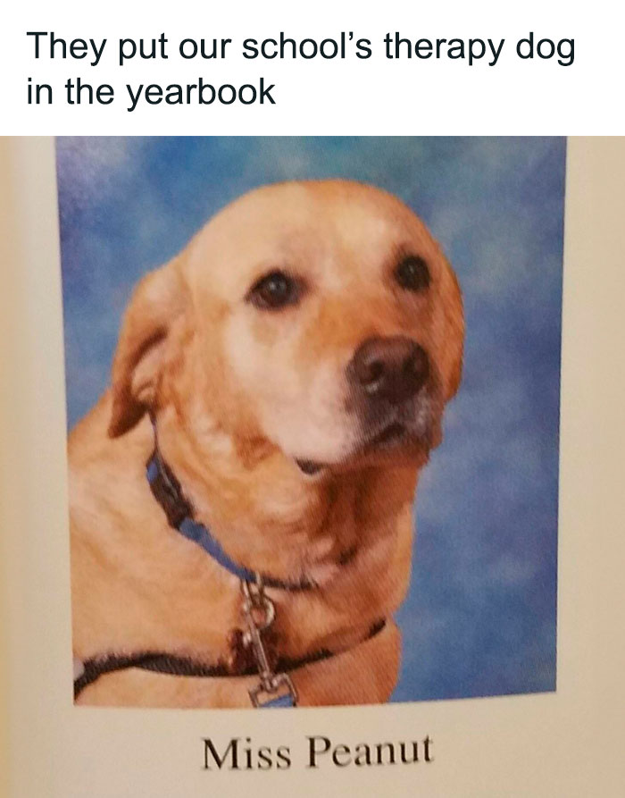 Funny-Relatable-Animal-Memes