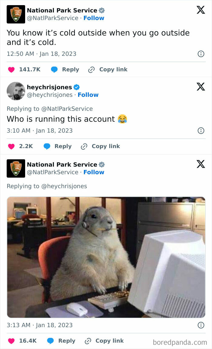 Funny-Relatable-Animal-Memes