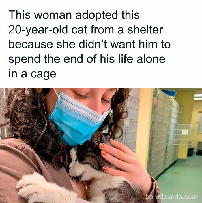 Funny-Relatable-Animal-Memes