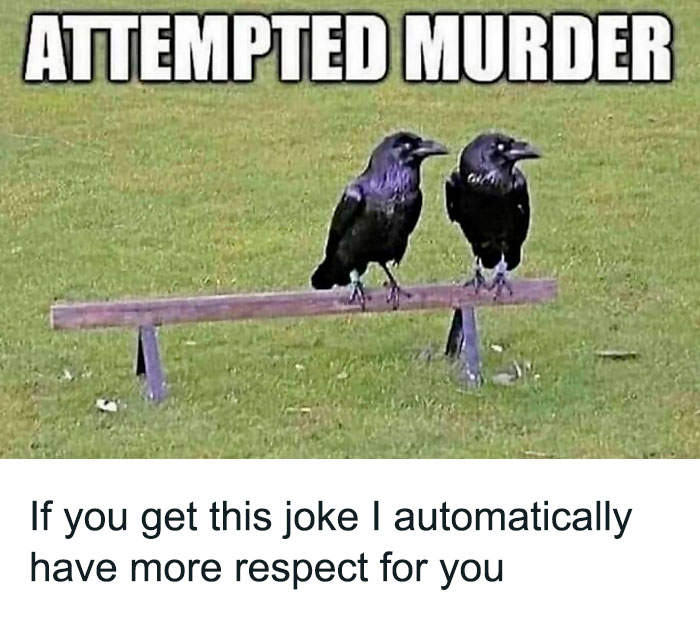 Funny-Relatable-Animal-Memes