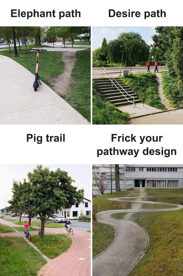 Four memes illustrating classic urban planning with unconventional paths like elephant, desire, pig trail, and others.
