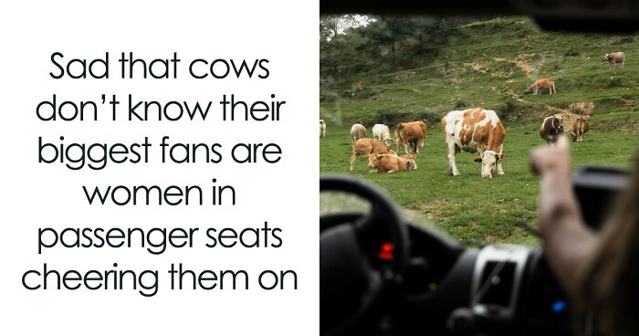 50 Funny Memes From ‘Women’s Humor’ You May Relate To (New Pics)