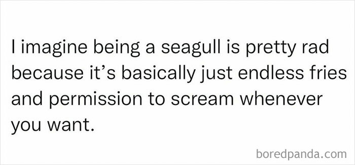 Funny-Women-Humor-Memes