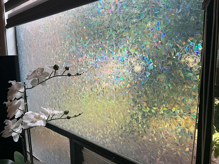Add Color And Privacy To Your Space With Rainbow Window Clings And Privacy Film