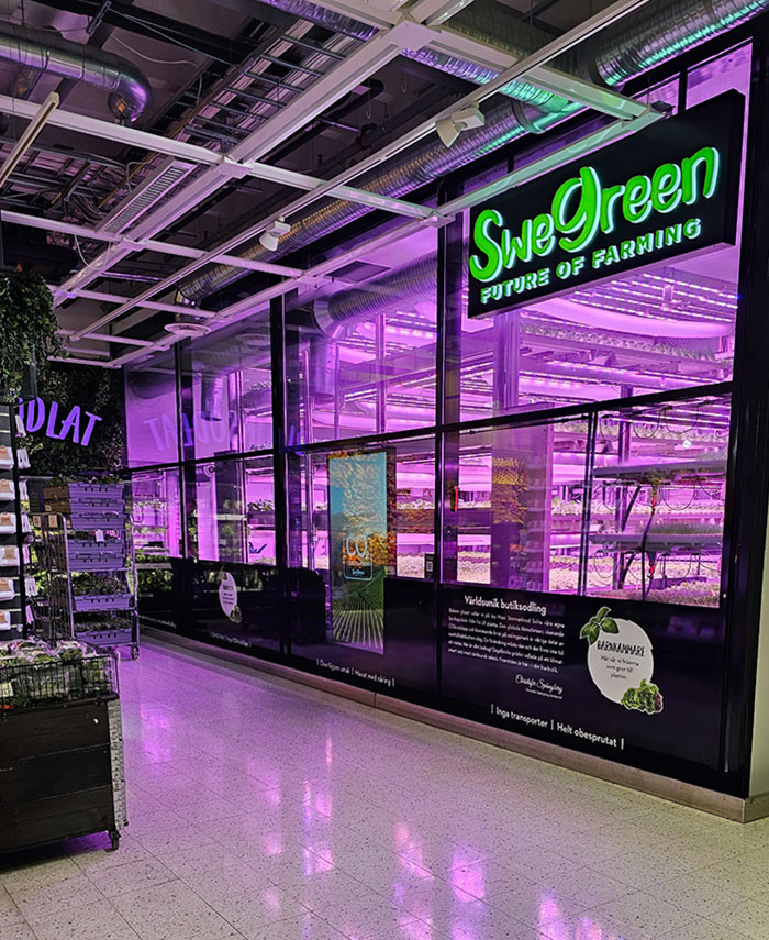 The Local Supermarket Has Its Own "Farm" Where They Grow Different Types Of Salads And Other Vegetables