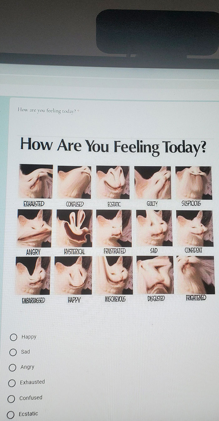 My Photoshop Teacher Has The Best Humor