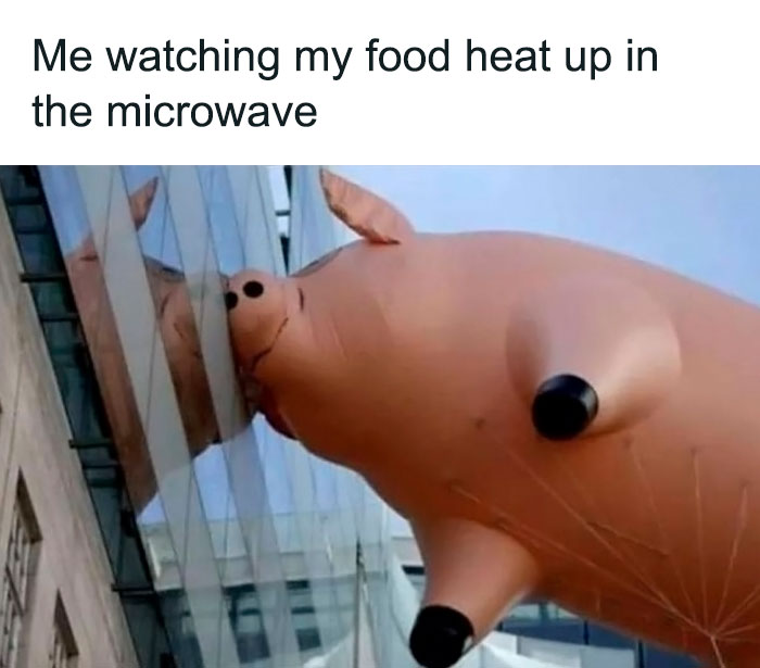 Hilarious-Work-Memes-Pics