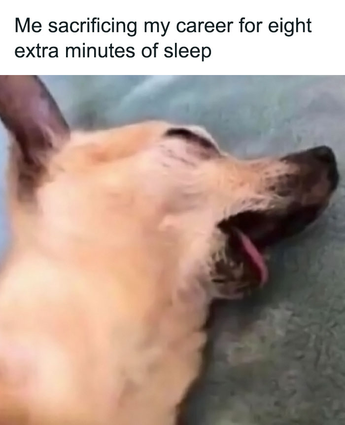 Hilarious-Work-Memes-Pics