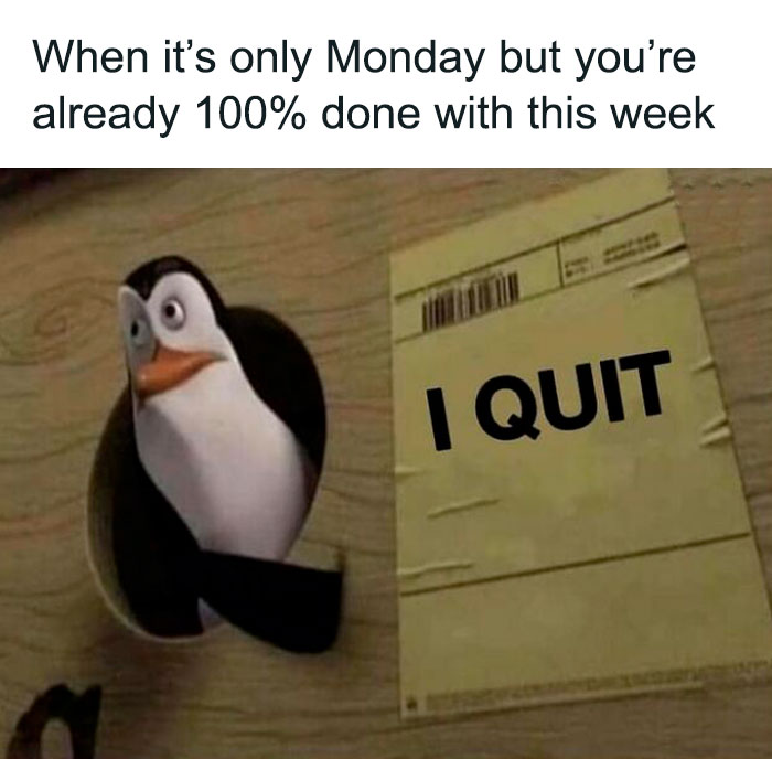 Hilarious-Work-Memes-Pics