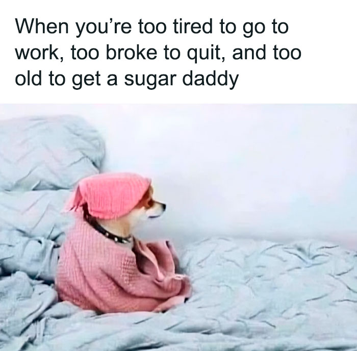 Hilarious-Work-Memes-Pics