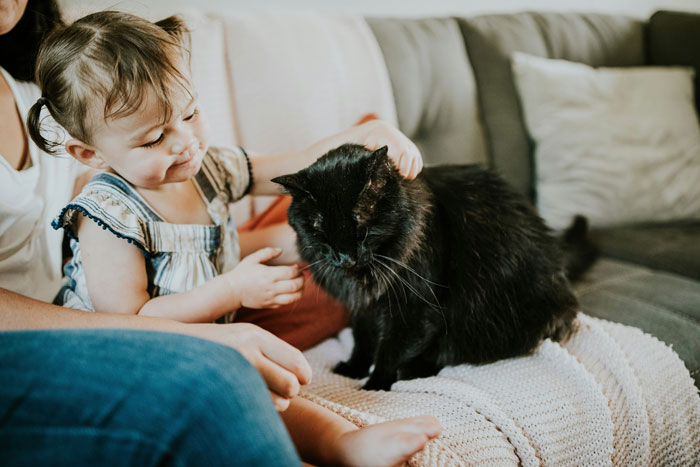 Child petting a black cat on a couch, highlighting how indoor cats can get fleas.
