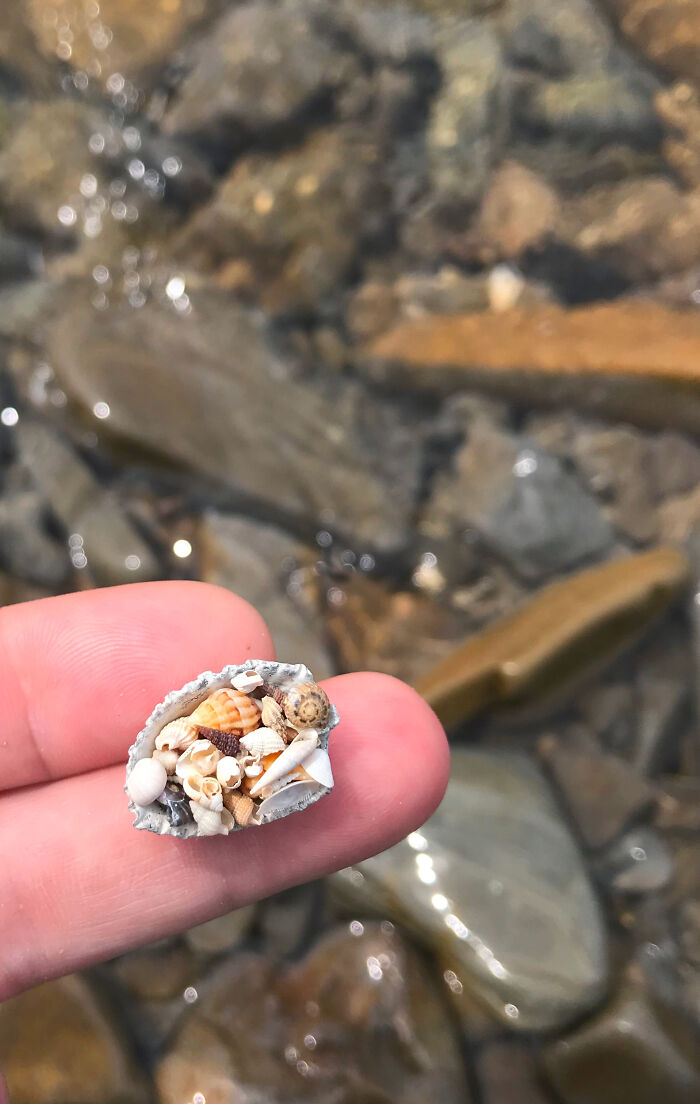 I Made Jewellery Using Shells From An Enchanting Beach